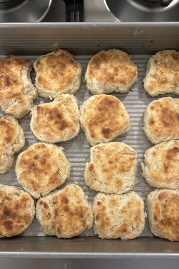 Baked Buttermilk Biscuits in baking pan and ready to serve.